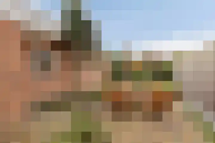 Julianastraat 21 Drunen thumbnail 4