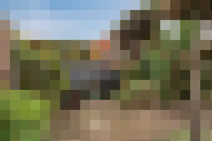 Julianastraat 21 Drunen thumbnail 41