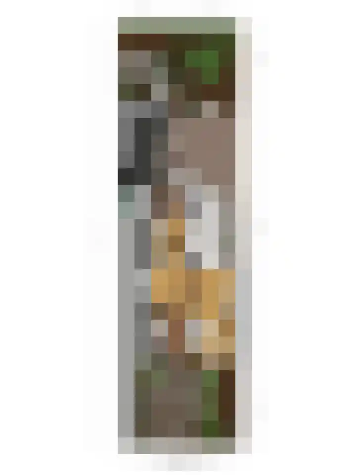 Julianastraat 21 Drunen thumbnail 44