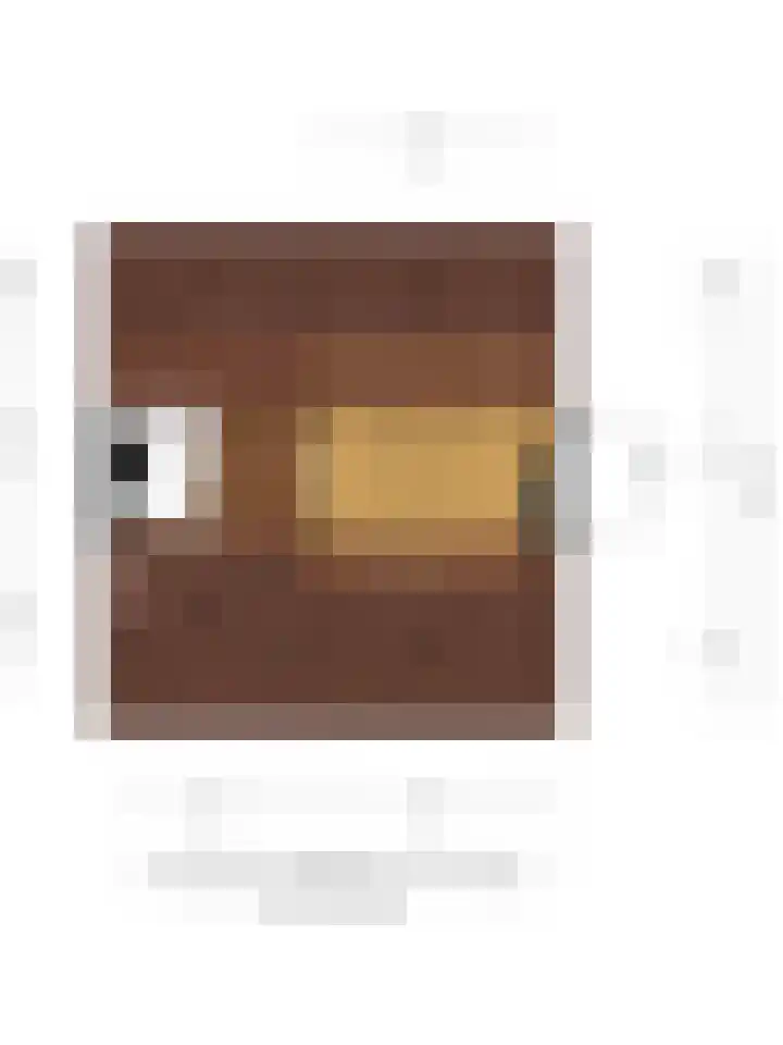 Julianastraat 21 Drunen thumbnail 47