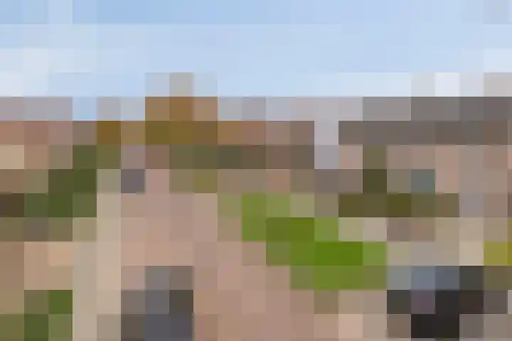 Julianastraat 21 Drunen thumbnail 7