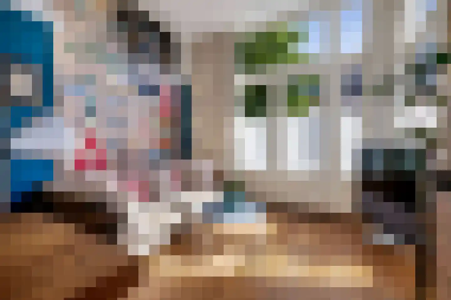 Julianastraat 21 Eindhoven thumbnail 12