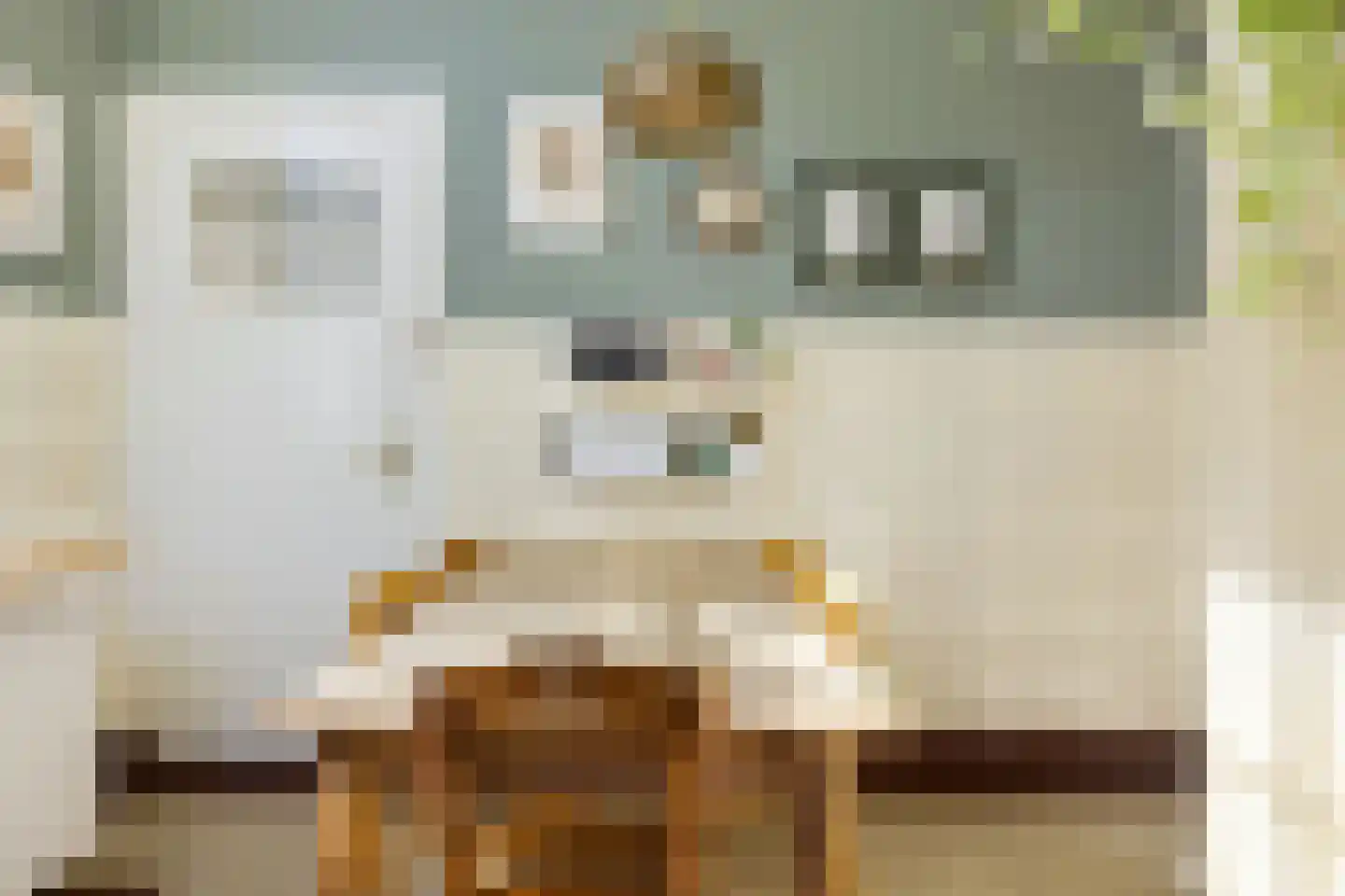 Julianastraat 21 Eindhoven thumbnail 14