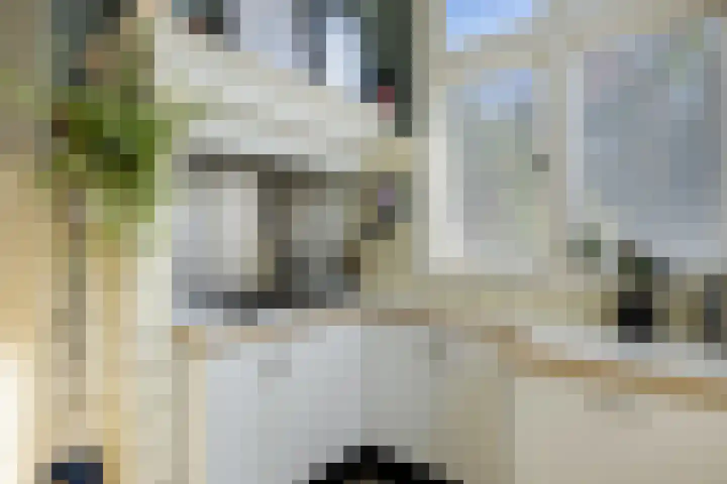 Julianastraat 21 Eindhoven thumbnail 15