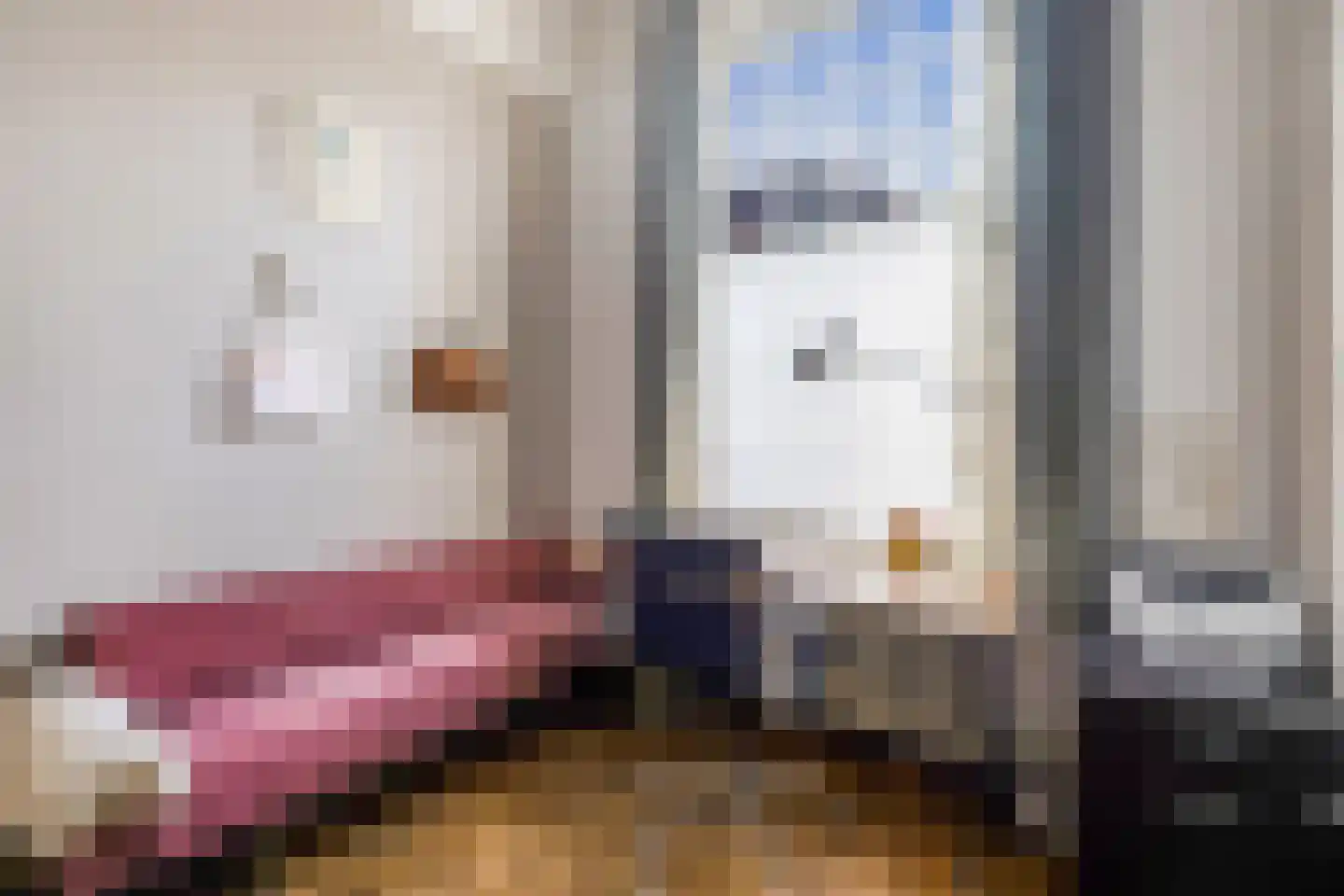 Julianastraat 21 Eindhoven thumbnail 16