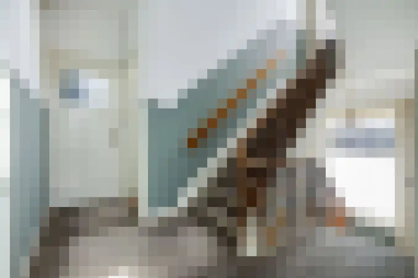 Julianastraat 21 Eindhoven thumbnail 20