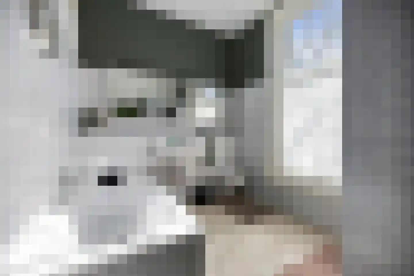 Julianastraat 21 Eindhoven thumbnail 32