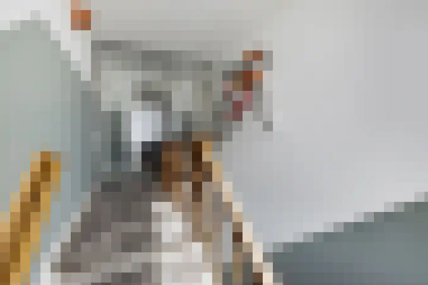 Julianastraat 21 Eindhoven thumbnail 36