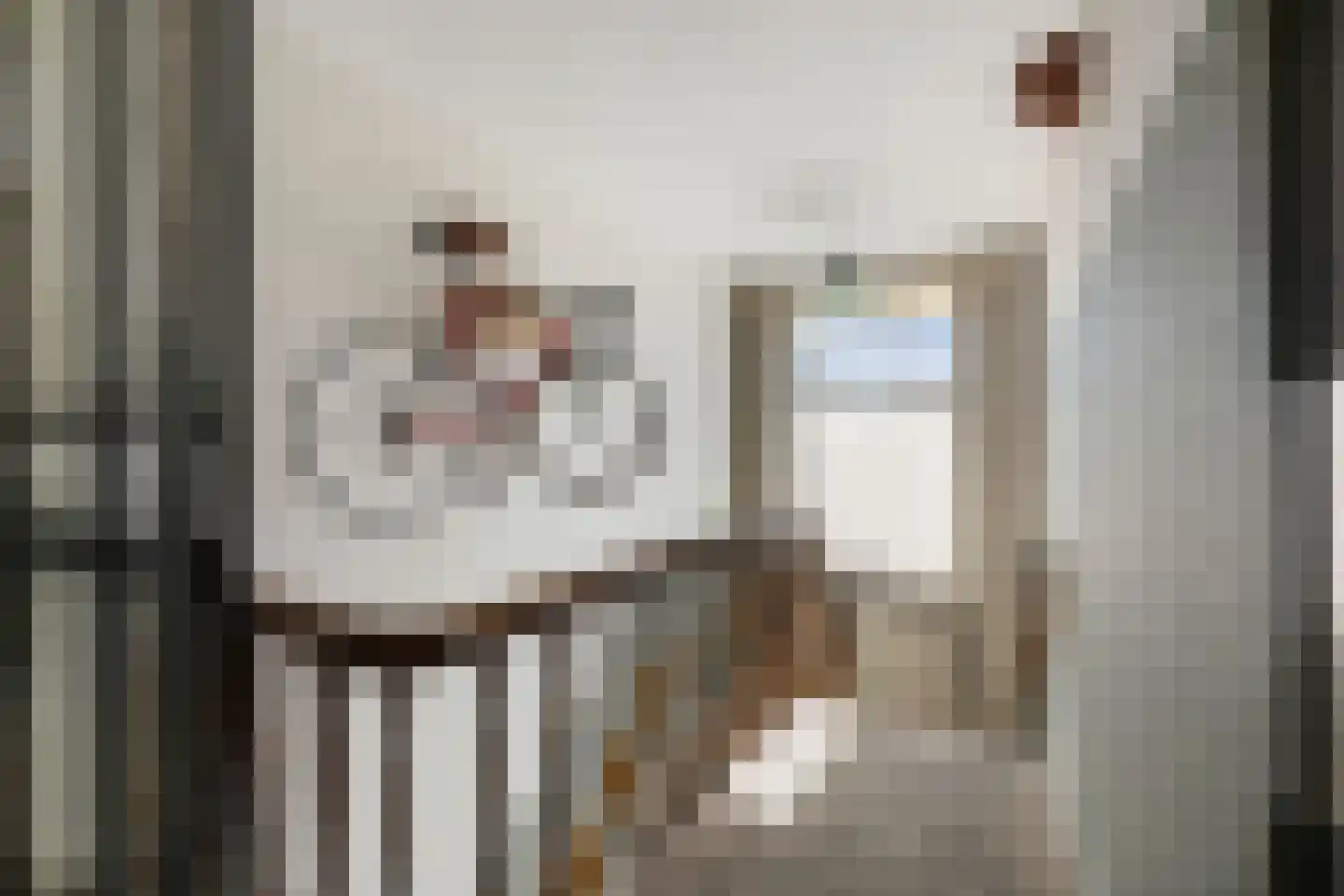 Julianastraat 21 Eindhoven thumbnail 37