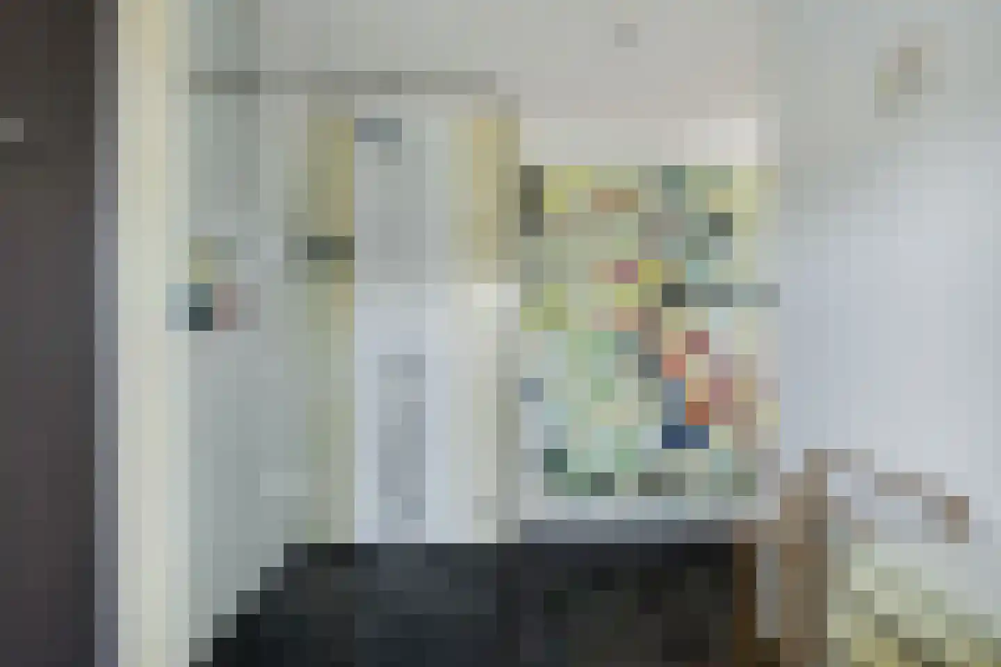 Julianastraat 21 Eindhoven thumbnail 39