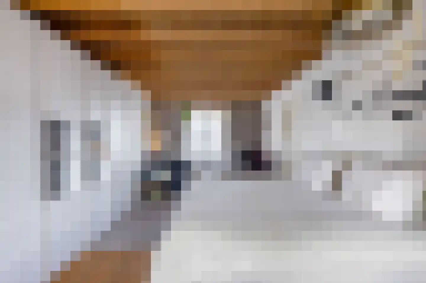 Julianastraat 21 Eindhoven thumbnail 43