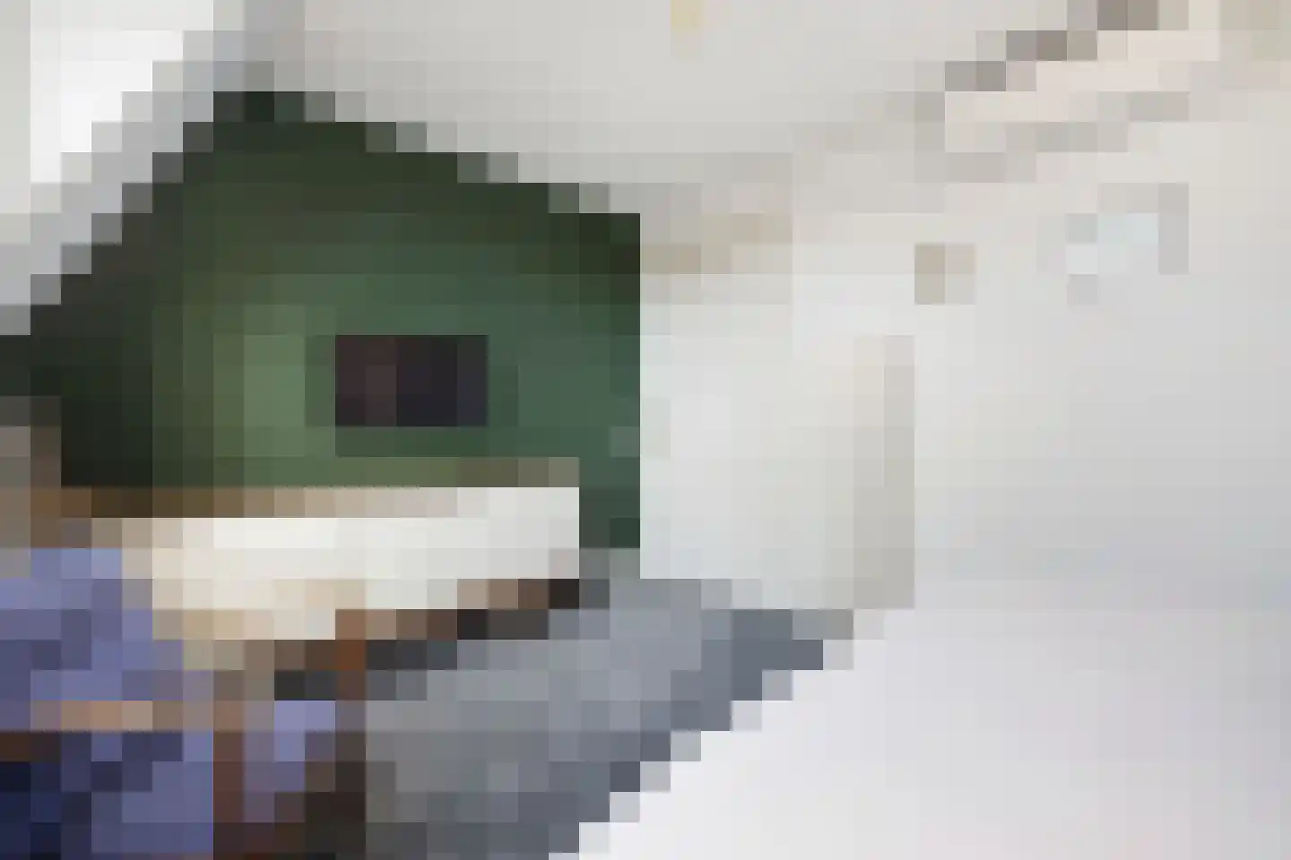Julianastraat 21 Eindhoven thumbnail 47