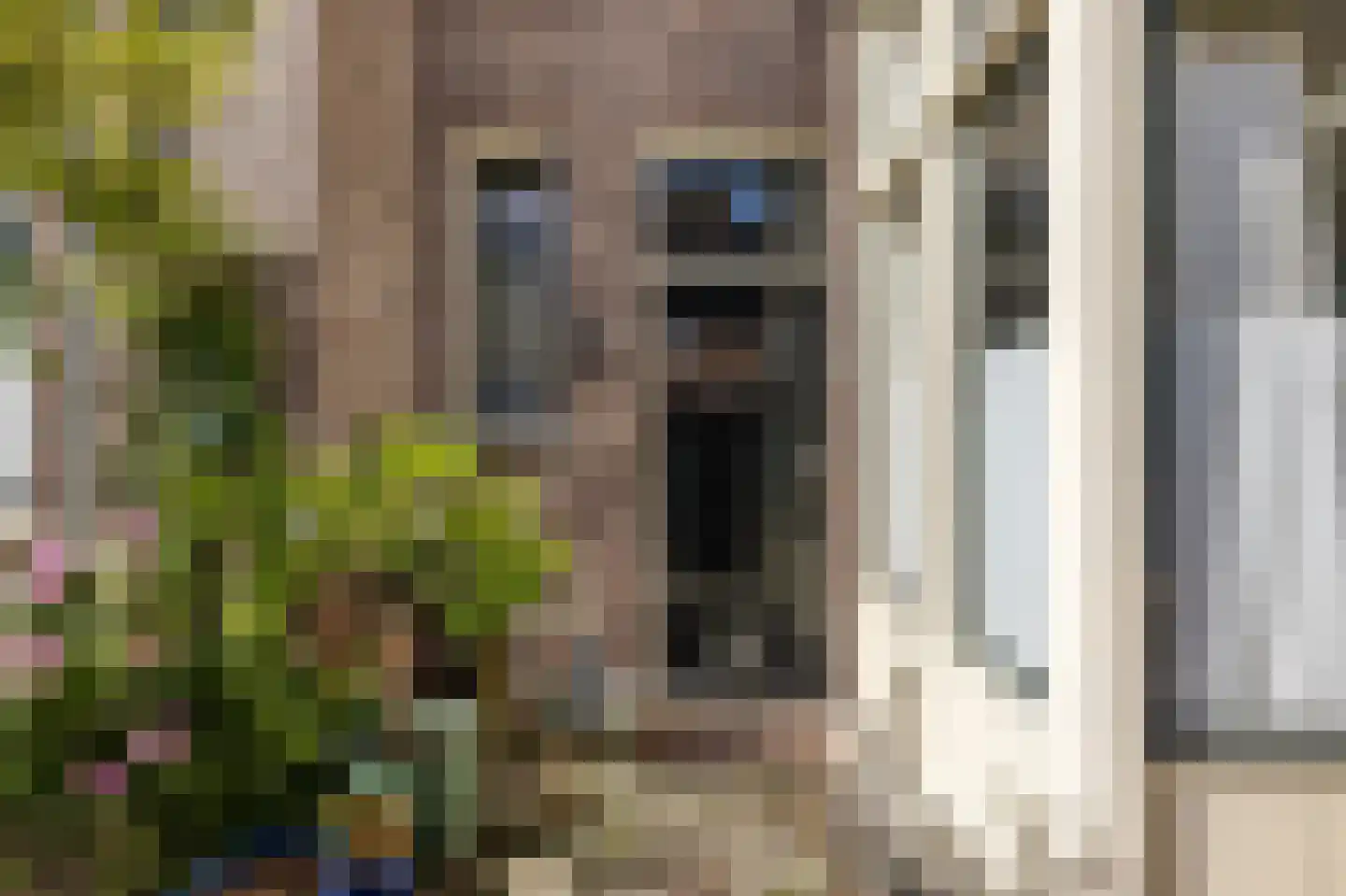 Julianastraat 21 Eindhoven thumbnail 48