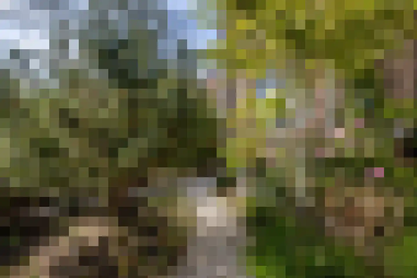 Julianastraat 21 Eindhoven thumbnail 49