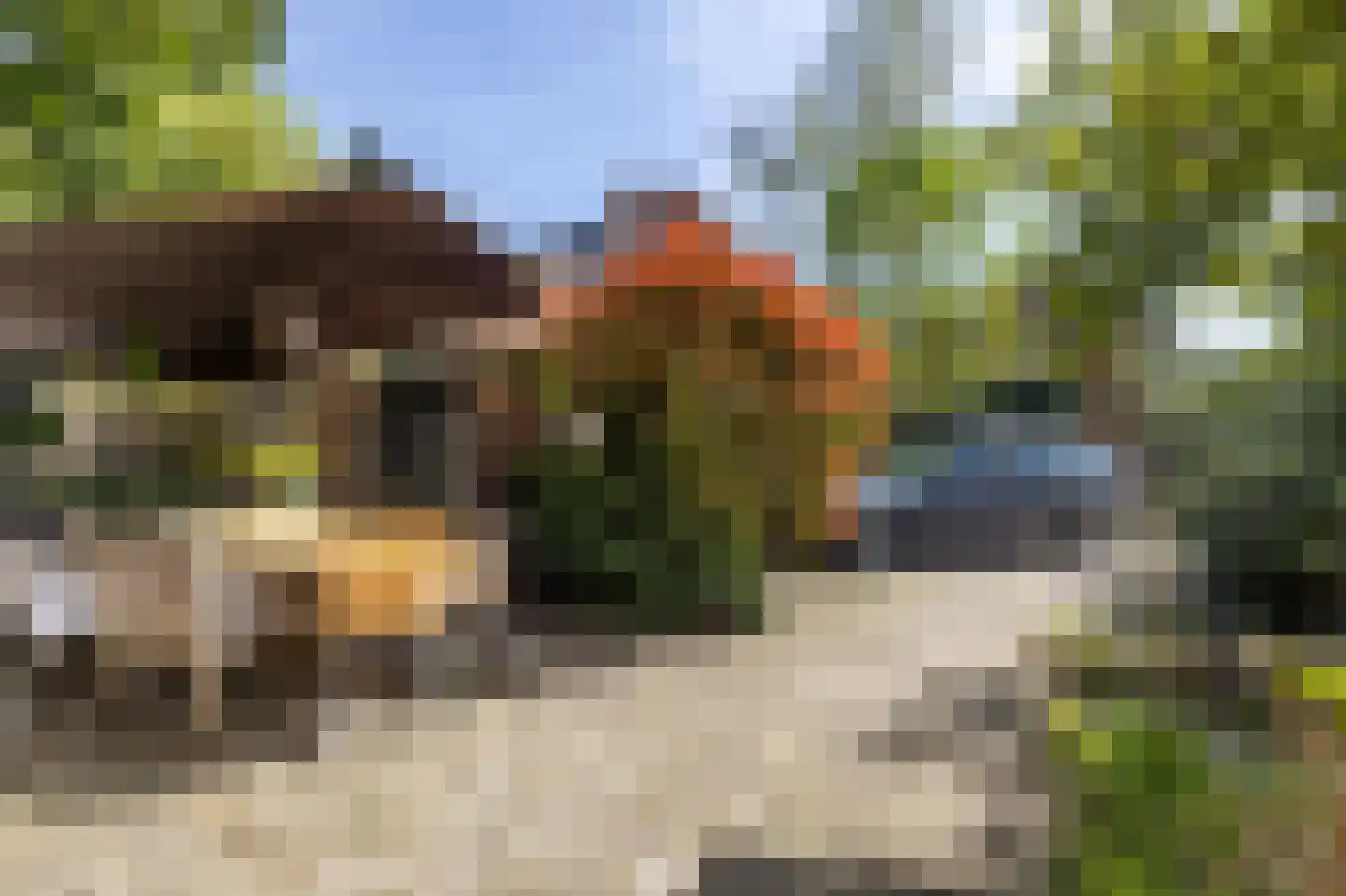 Julianastraat 21 Eindhoven thumbnail 52