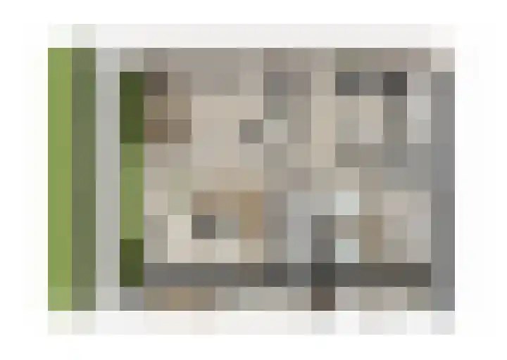 Julianastraat 21 Harskamp thumbnail 7