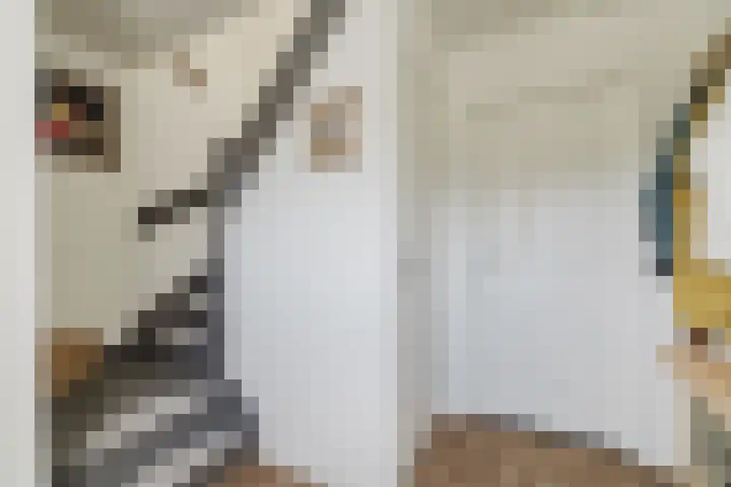 Julianastraat 21 Rucphen thumbnail 10