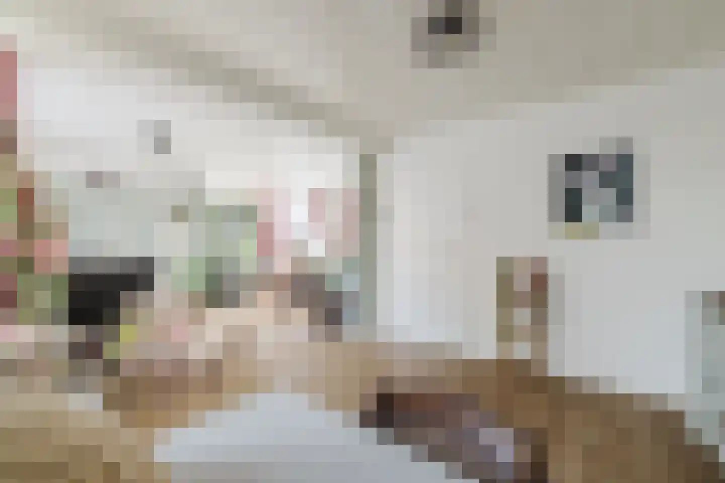 Julianastraat 21 Rucphen thumbnail 11