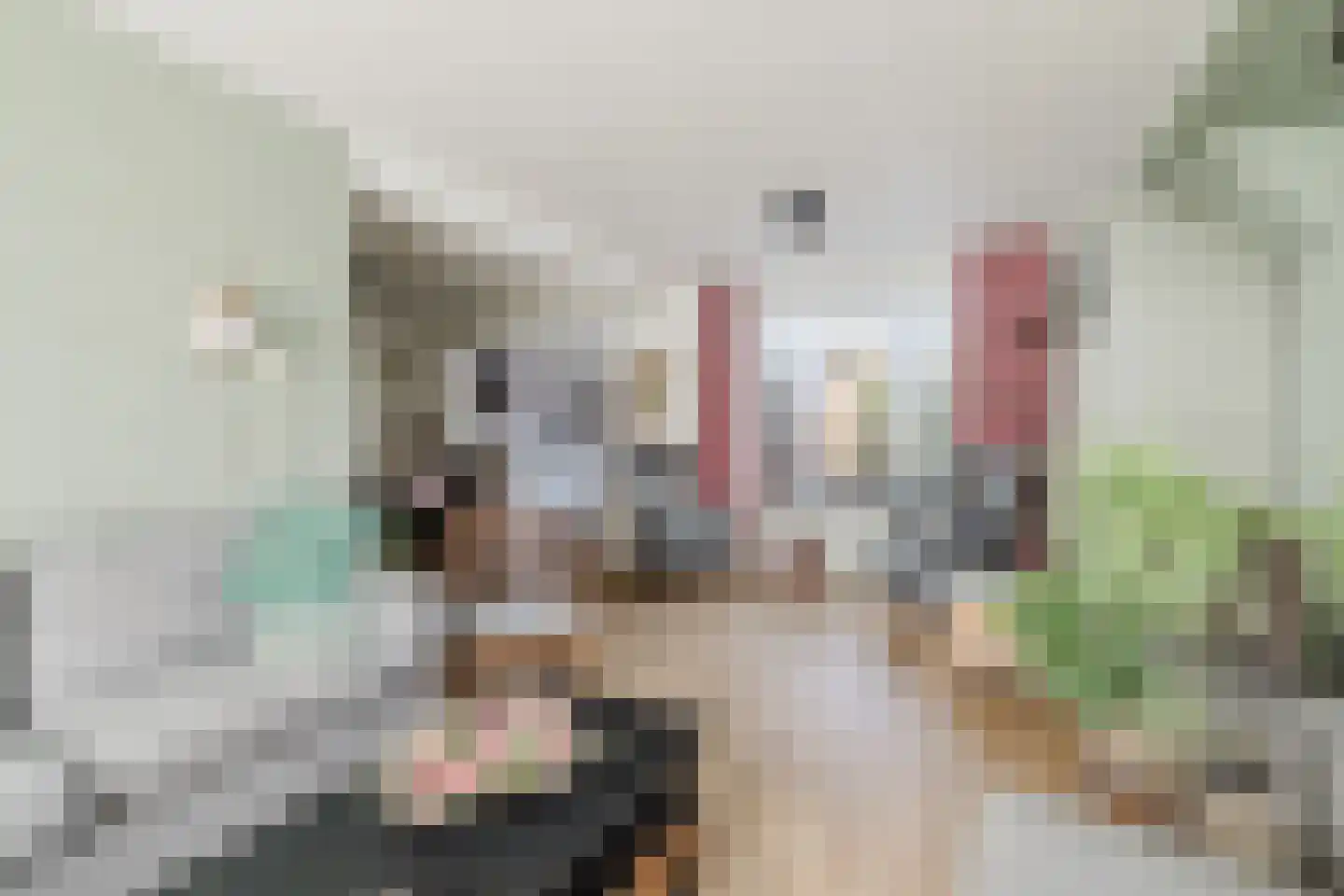 Julianastraat 21 Rucphen thumbnail 13