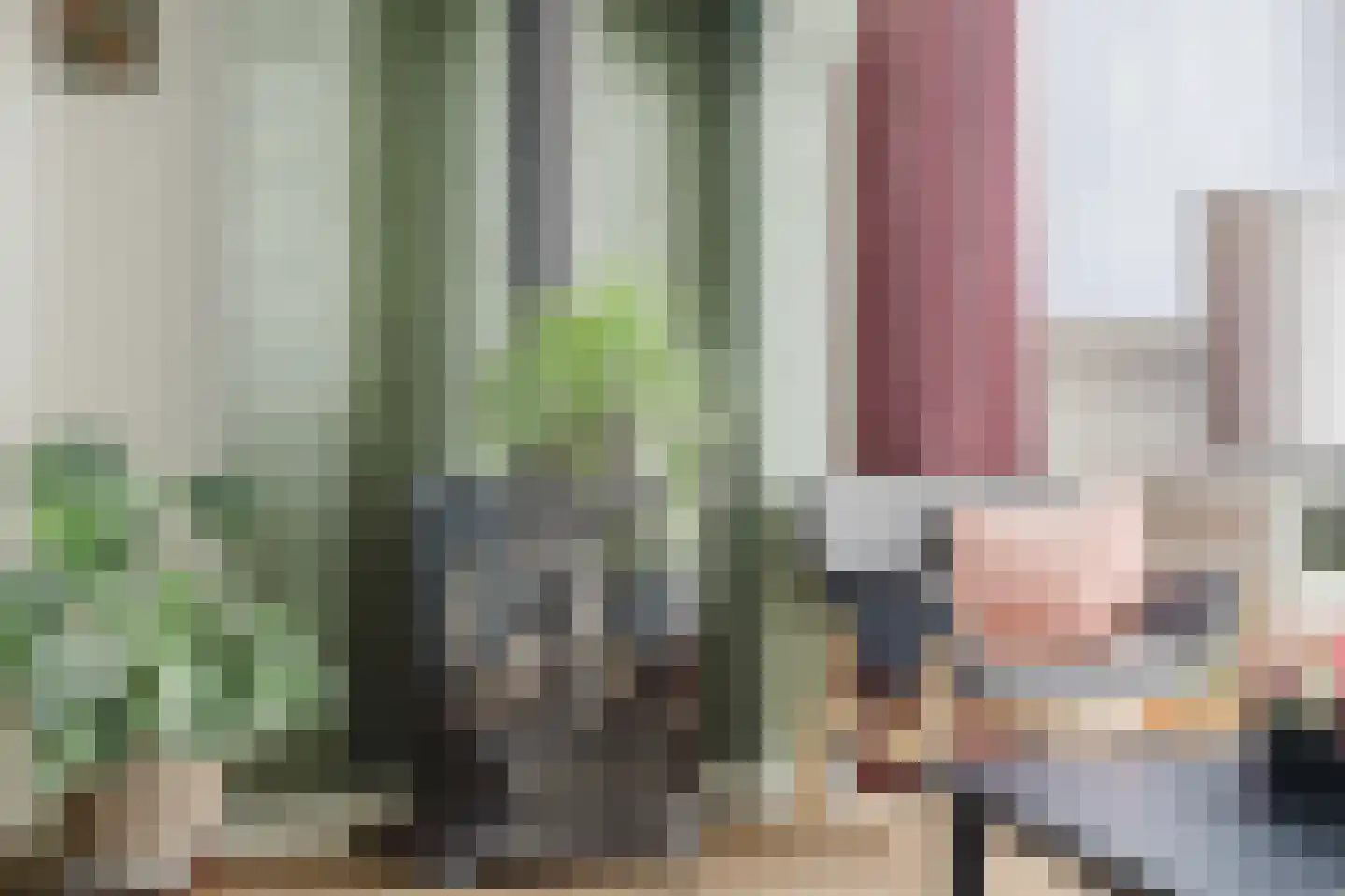 Julianastraat 21 Rucphen thumbnail 15