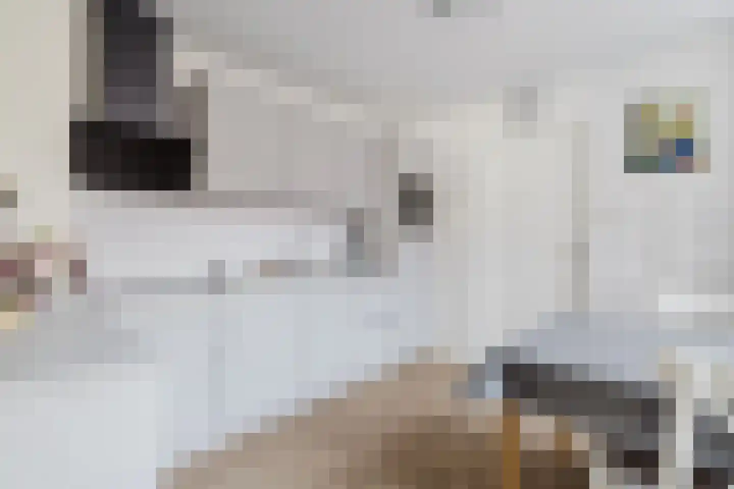 Julianastraat 21 Rucphen thumbnail 17