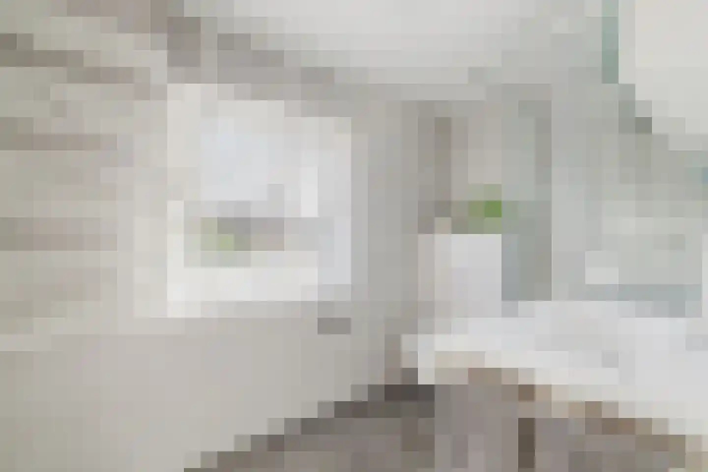 Julianastraat 21 Rucphen thumbnail 31