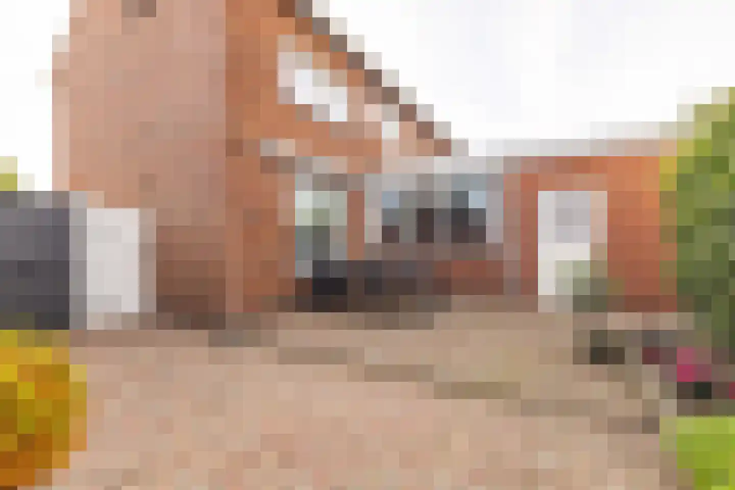 Julianastraat 21 Rucphen thumbnail 35