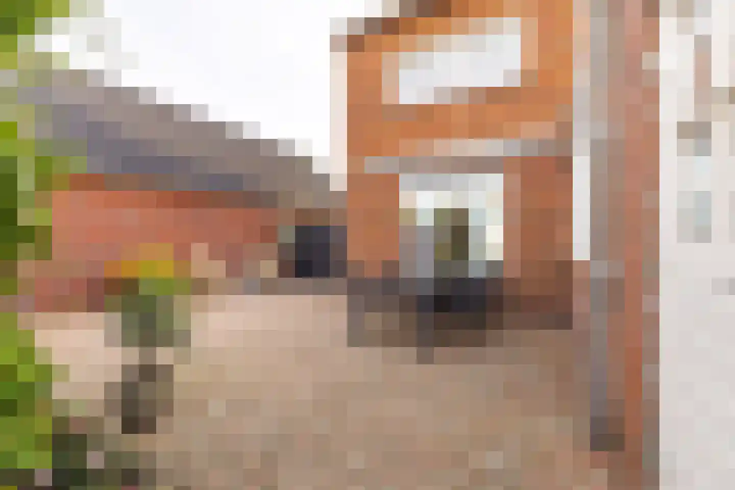 Julianastraat 21 Rucphen thumbnail 36