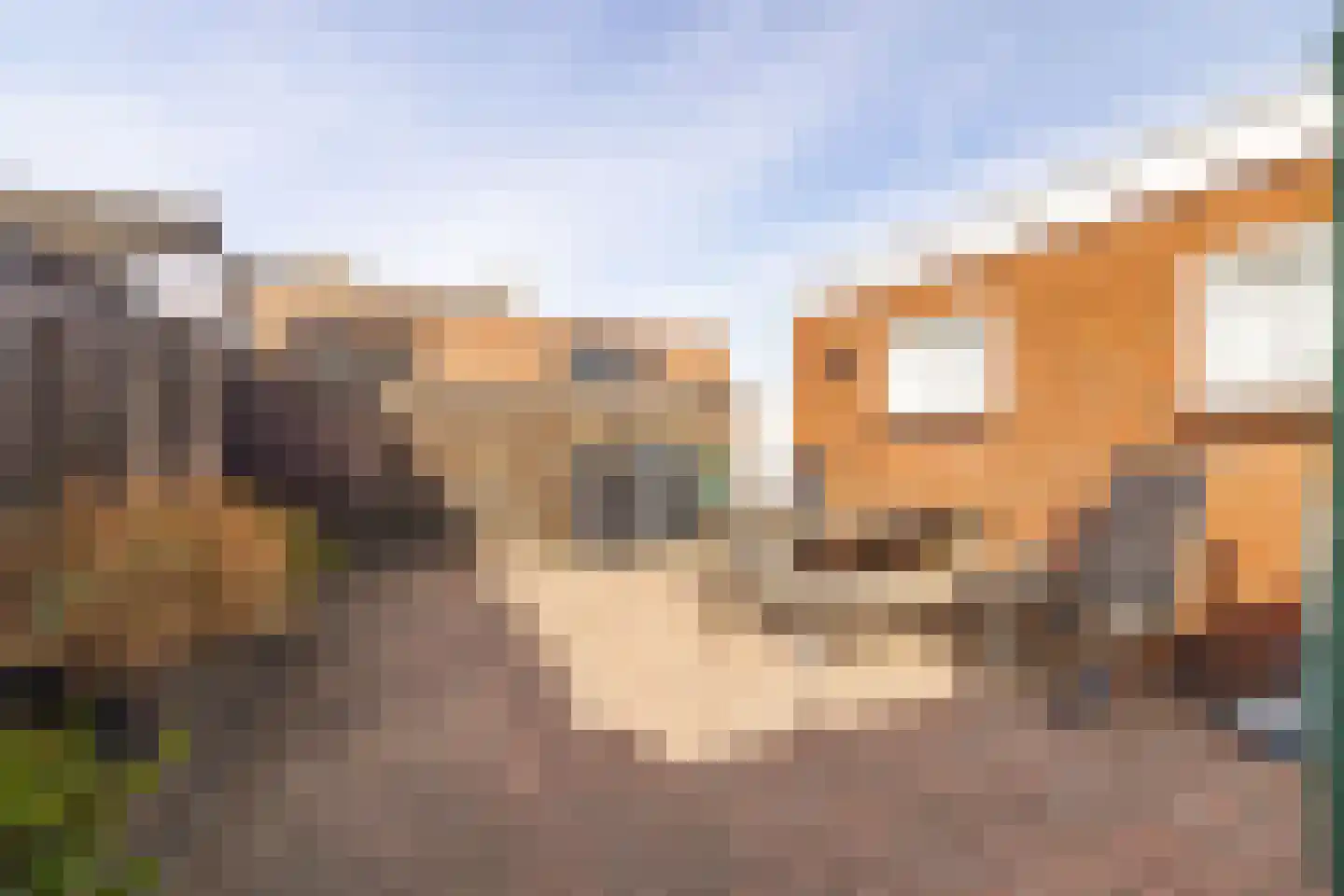 Julianastraat 21 Rucphen thumbnail 38