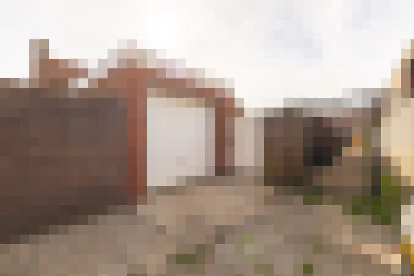Julianastraat 21 Rucphen thumbnail 39