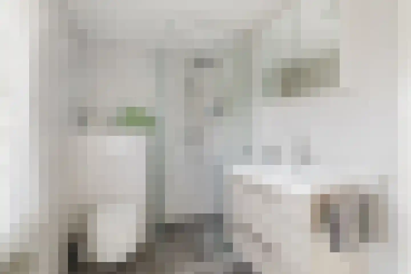 Julianastraat 21 Rucphen thumbnail 4