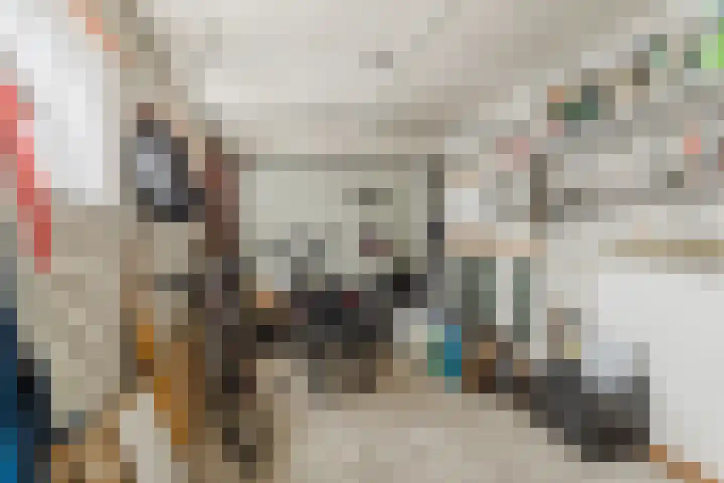 Julianastraat 21 Rucphen thumbnail 40
