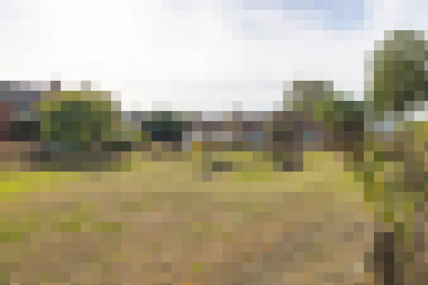 Julianastraat 21 Rucphen thumbnail 44