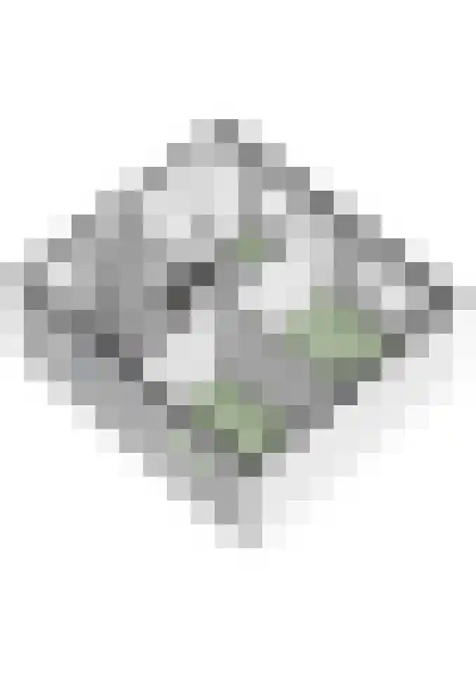 Julianastraat 21 Rucphen thumbnail 49