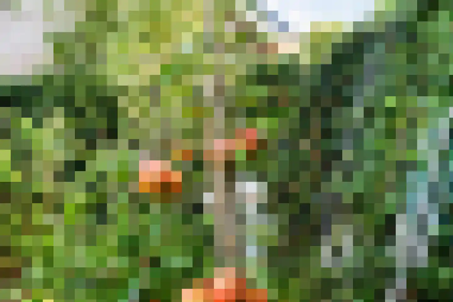 Julianastraat 21 Westerbork thumbnail 37