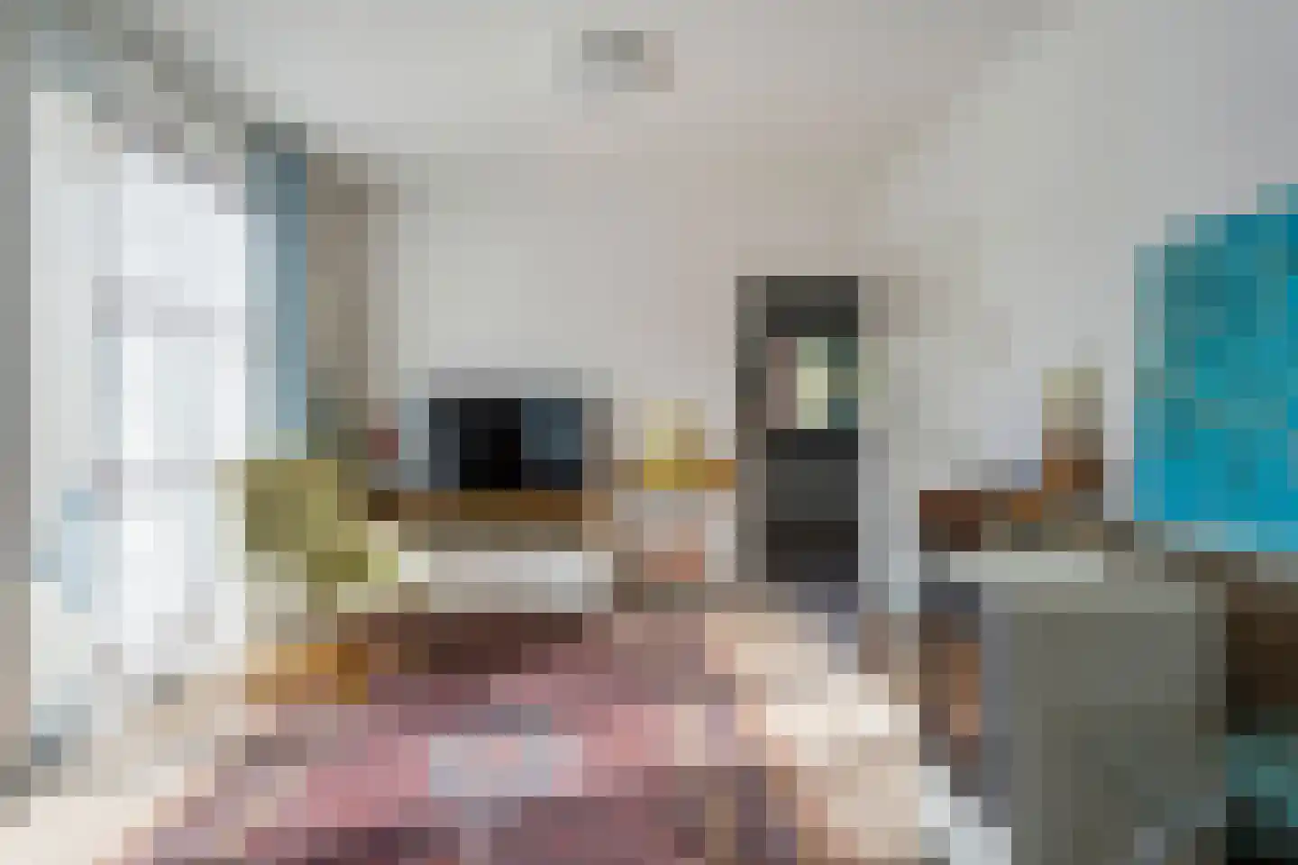 Julianastraat 21 Westerbork thumbnail 8