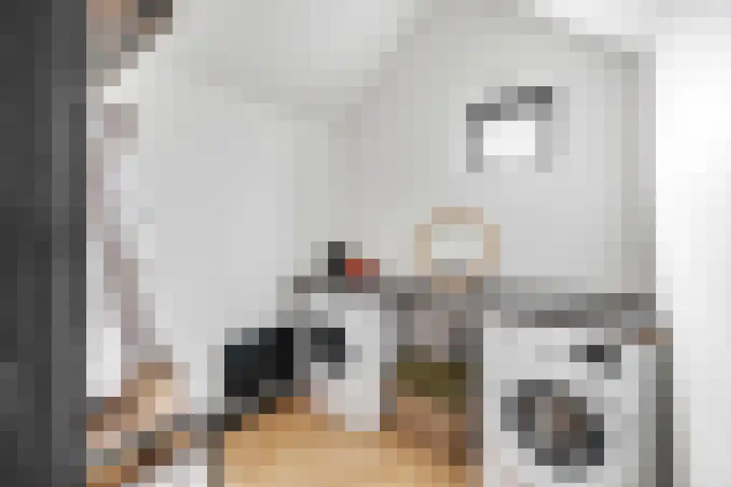 Julianastraat 21 Zuidland thumbnail 15