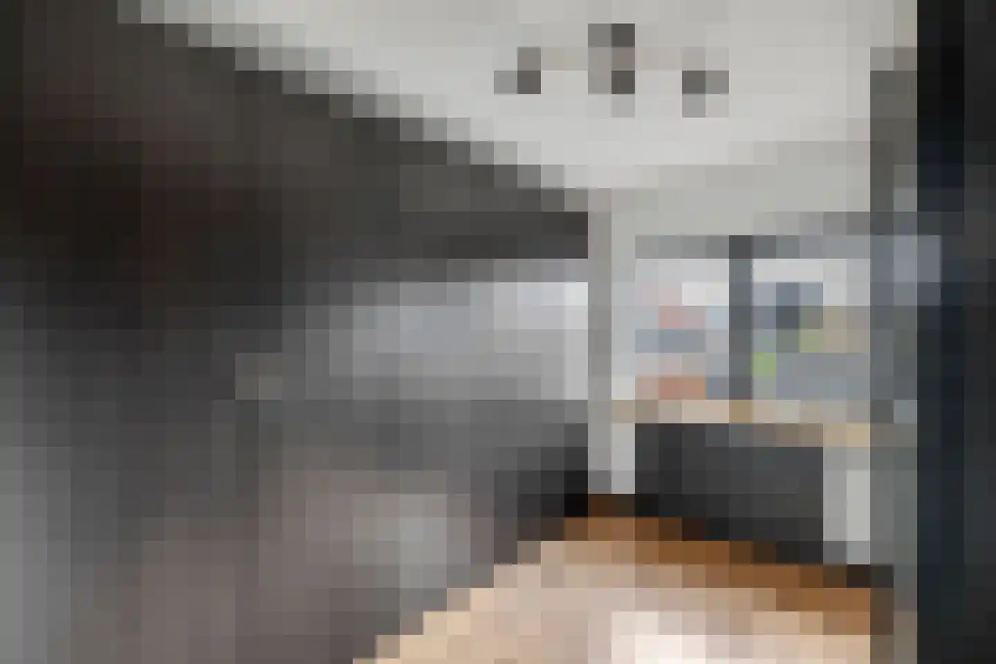 Julianastraat 21 Zuidland thumbnail 18