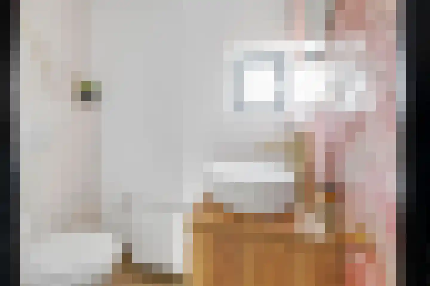 Julianastraat 21 Zuidland thumbnail 19
