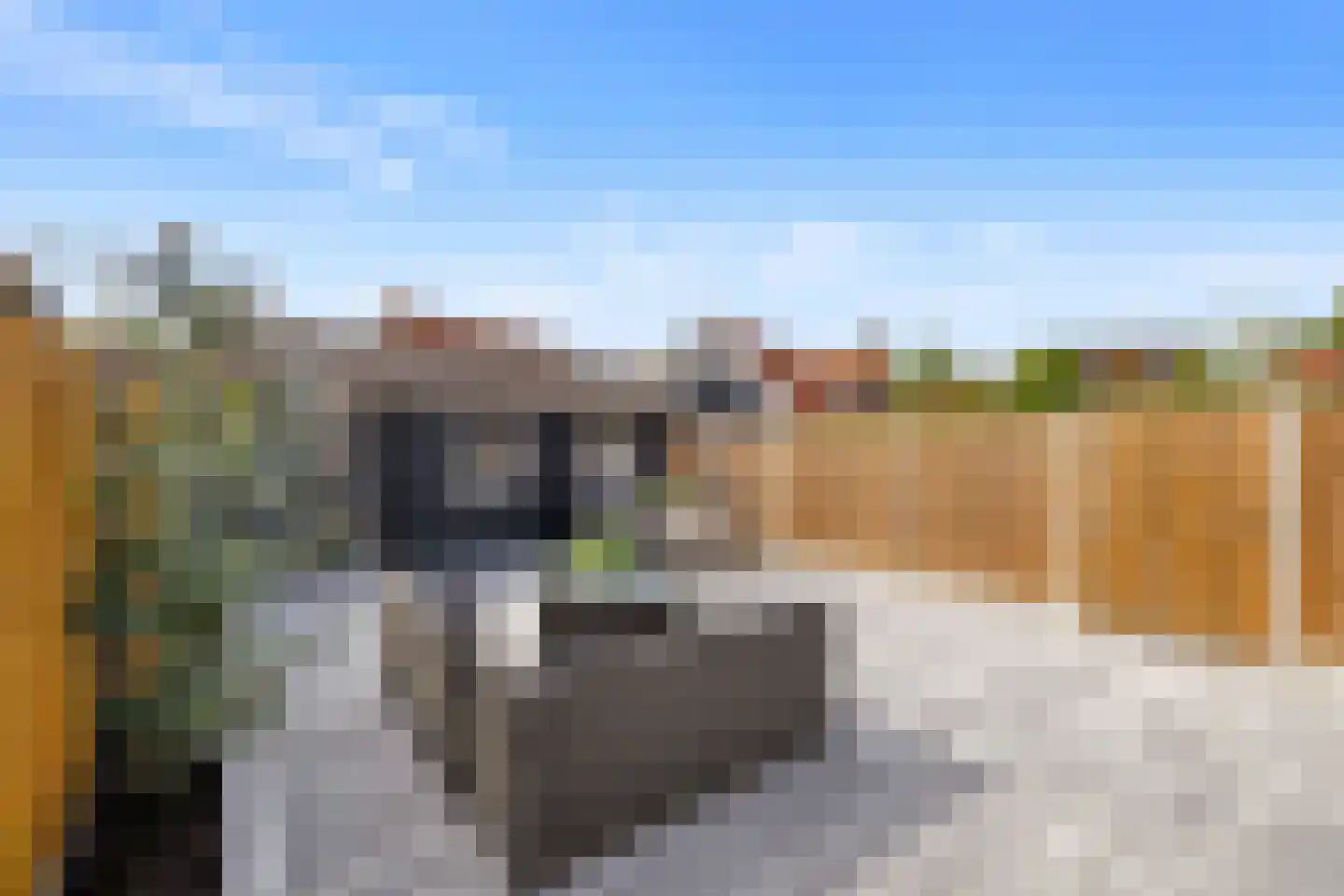 Julianastraat 21 Zuidland thumbnail 25