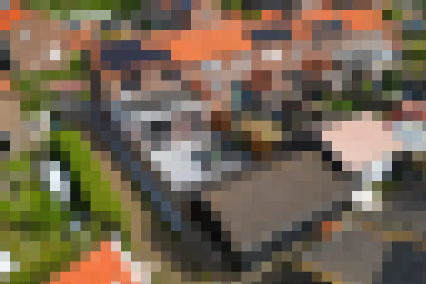 Julianastraat 21 Zuidland thumbnail 30