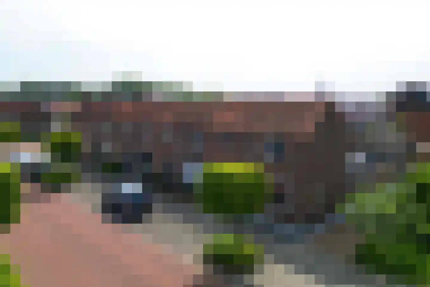 Julianastraat 21 Zuidland thumbnail 34