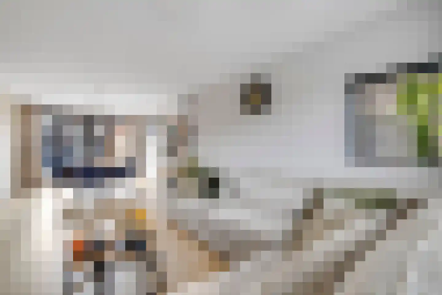 Julianastraat 21 Zuidland thumbnail 4