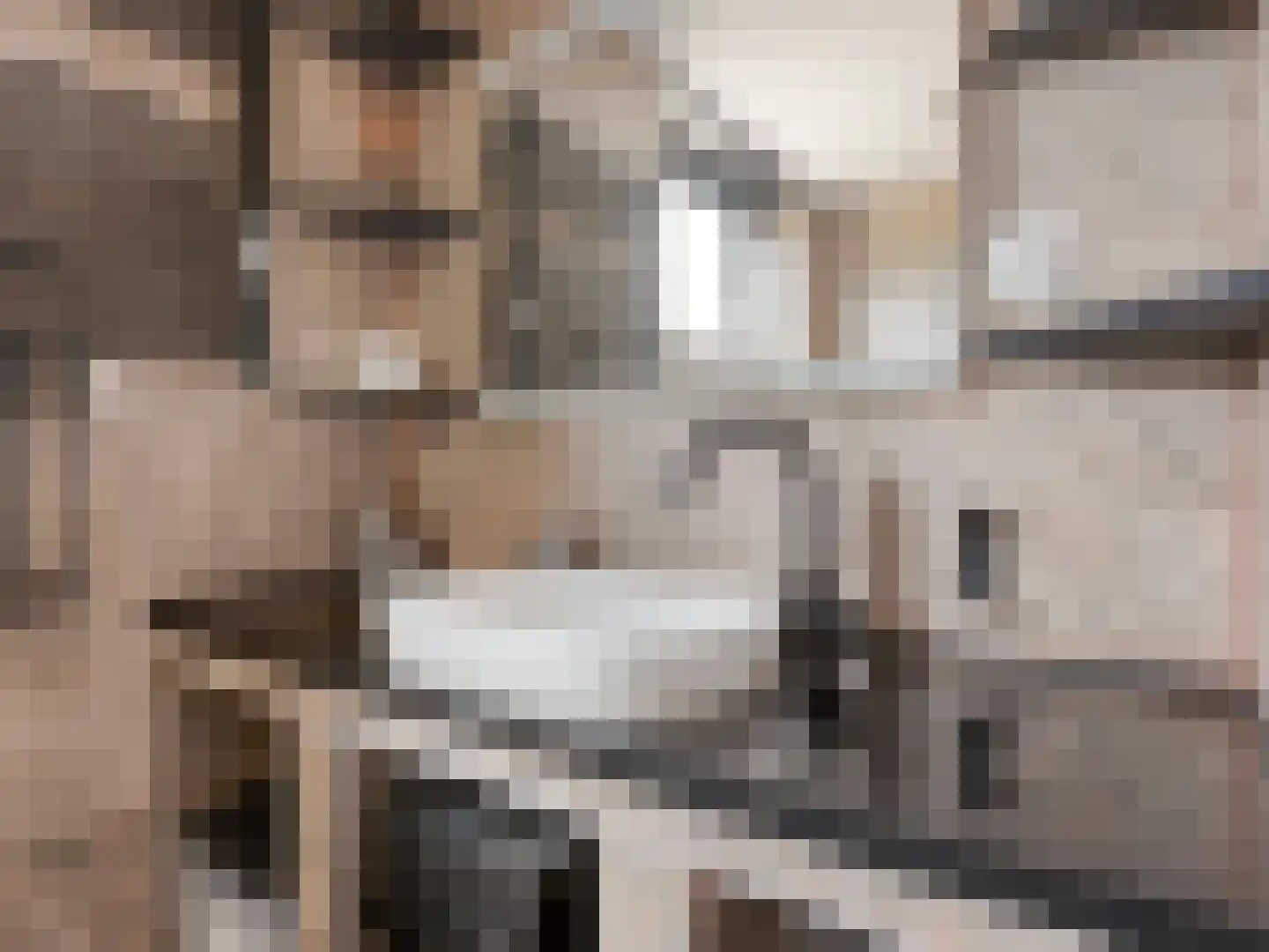 Julianastraat 22 Aalst thumbnail 21