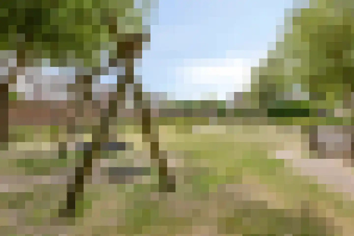 Julianastraat 22 Aalst thumbnail 33