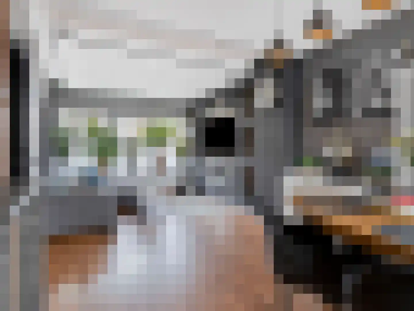 Julianastraat 22 Aalst thumbnail 5