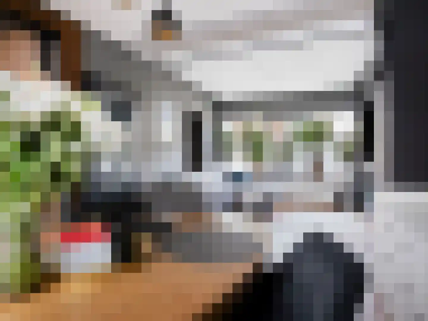 Julianastraat 22 Aalst thumbnail 6