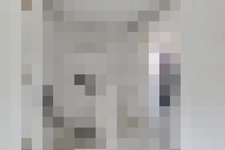 Julianastraat 22 Aalten thumbnail 23