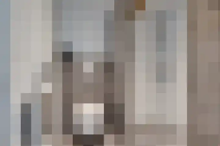 Julianastraat 22 Aalten thumbnail 26