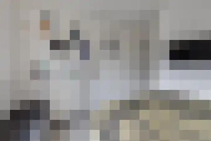 Julianastraat 22 Aalten thumbnail 31